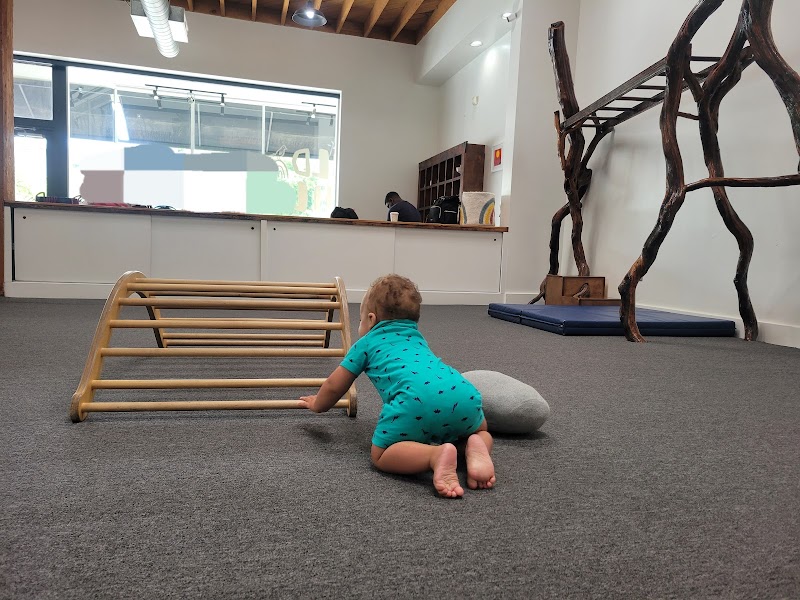 Wild Child Gym