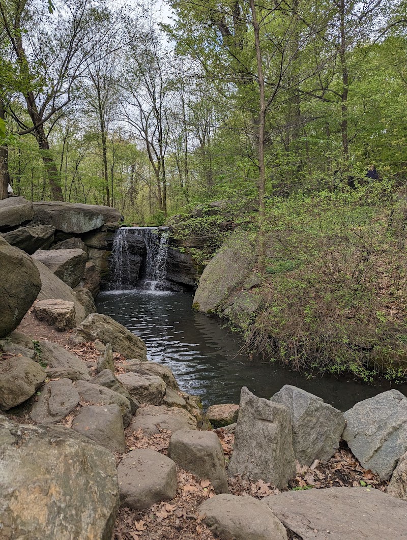 The Ravine (Waterfall)