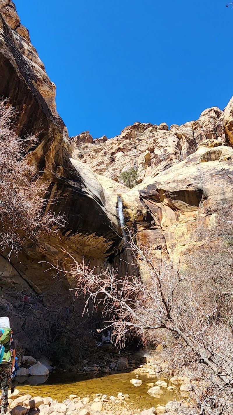 Lost Creek Canyon — Hiking with Kids in Las Vegas