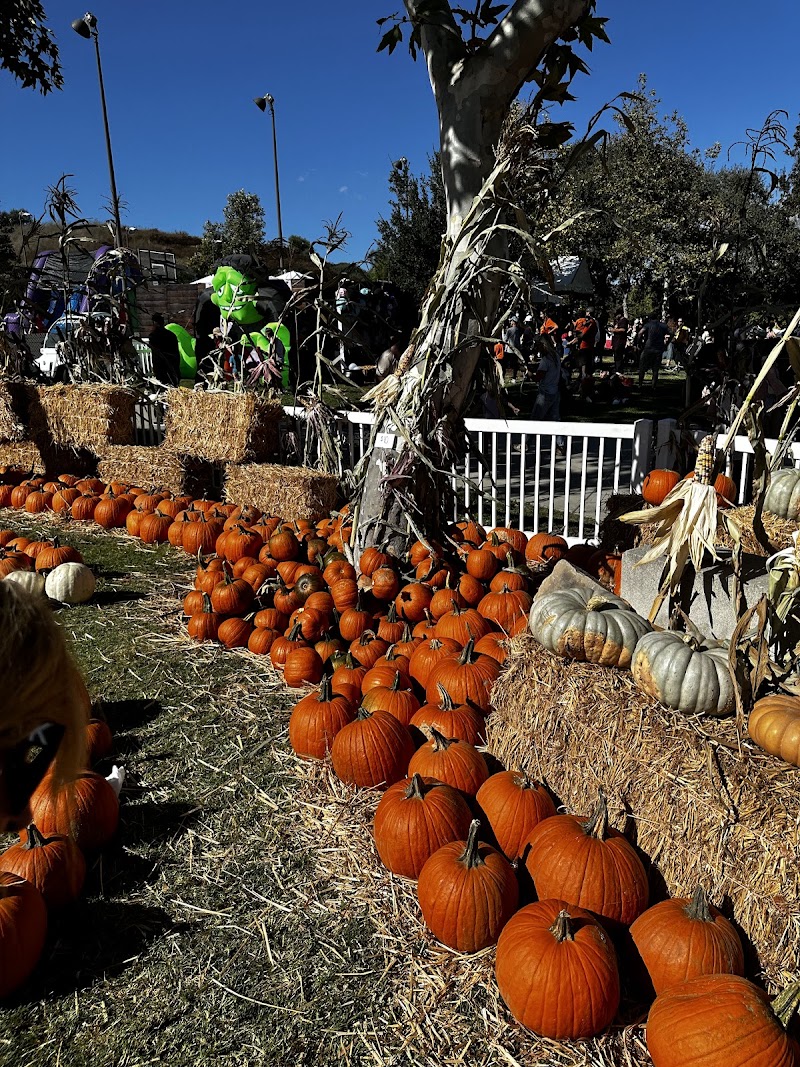 Calabasas Pumpkin Festival — Fall Festivals in Los Angeles