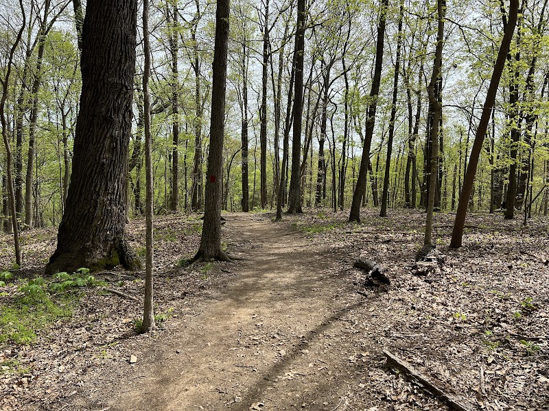 Percy Warner Ridgeline Trail — Hiking with Kids in Nashville