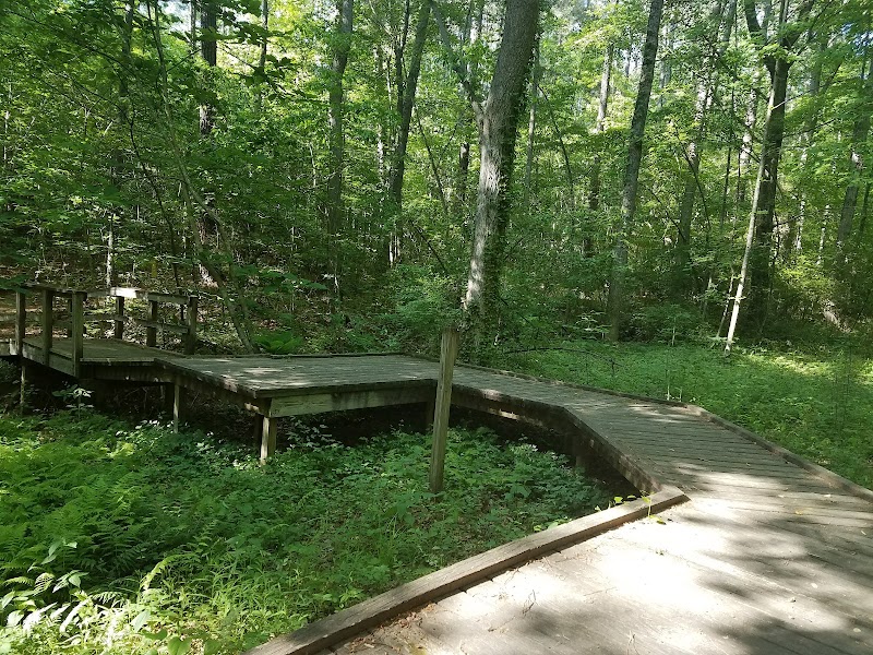 Brookhaven Nature Park — Hiking with Kids in Raleigh