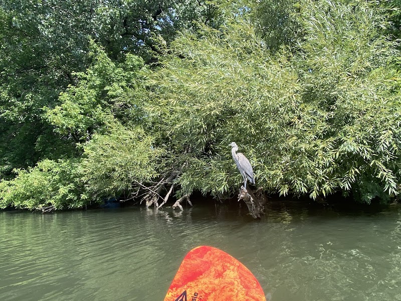 Wateriders at Northwest -- Chicago River Kayak Tours and Rentals