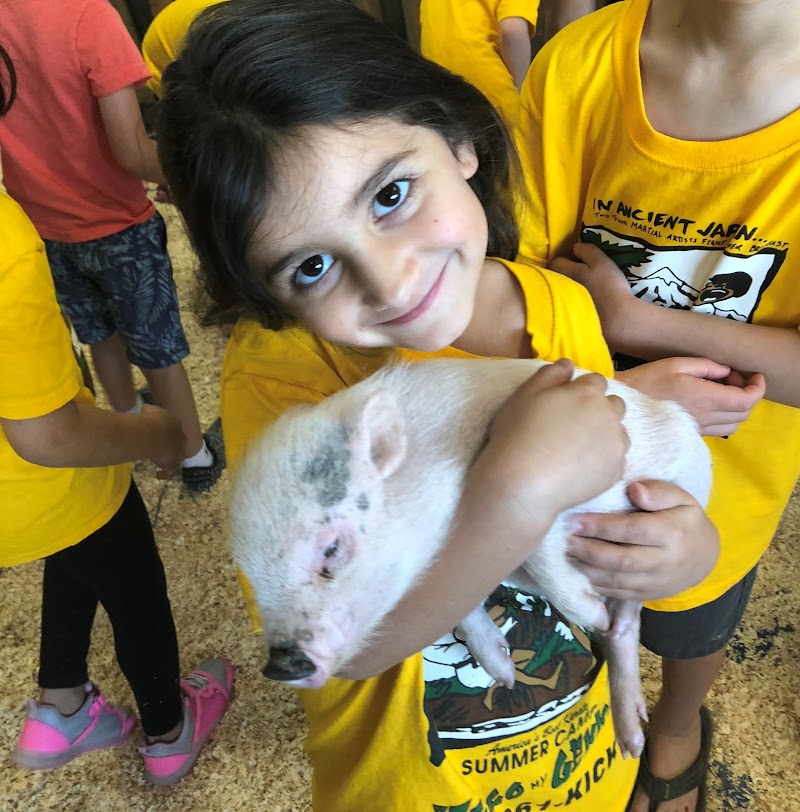 Summer Camp AZ — Summer Camps in Phoenix