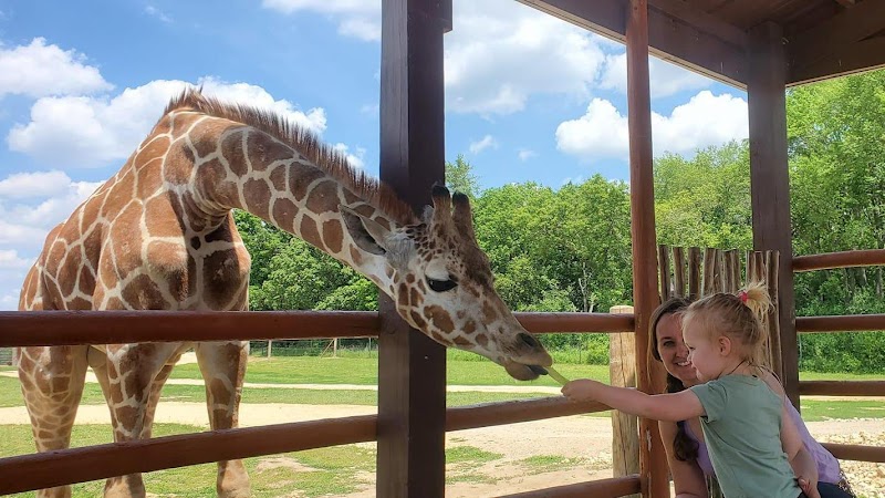 Safari Lake Geneva online reservations required