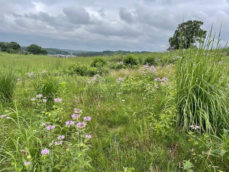 Prairie Ridge Conservation Park — Hiking with Kids in Madison