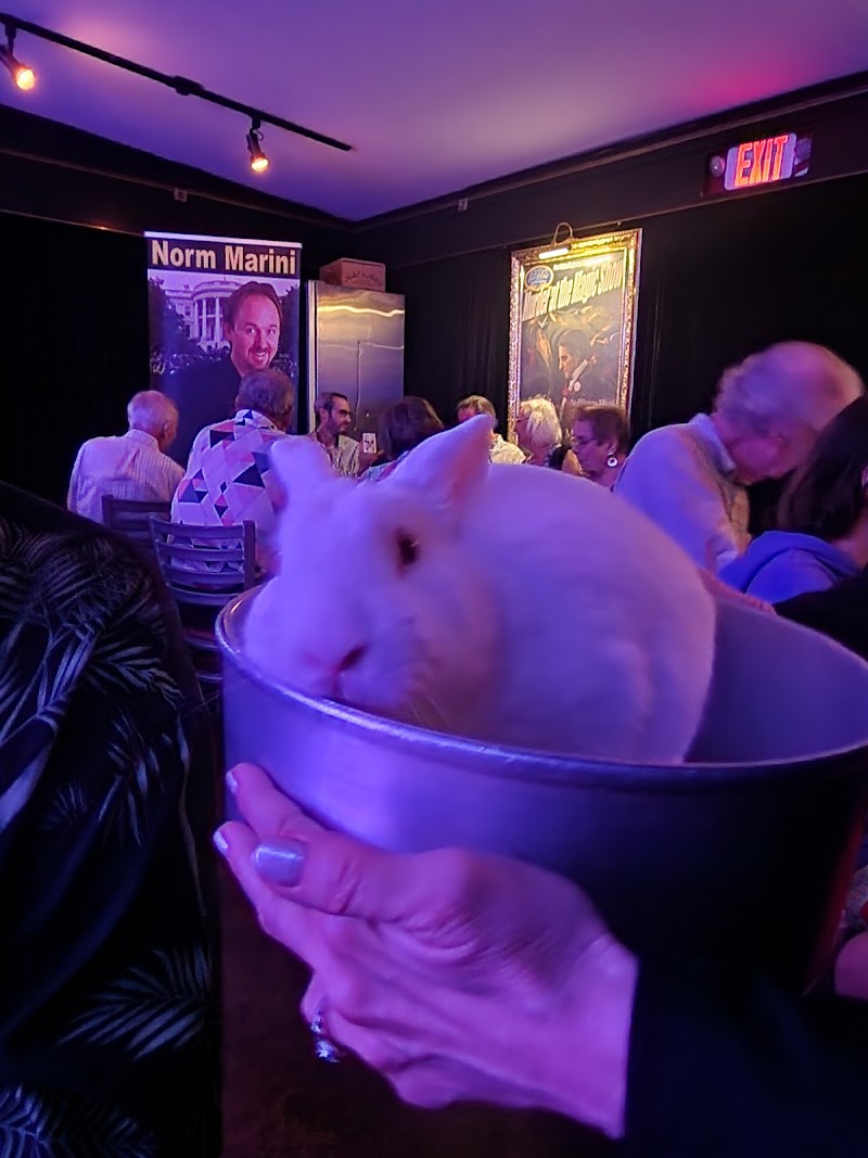 Mystery & Magic Dinner Theater Playhouse