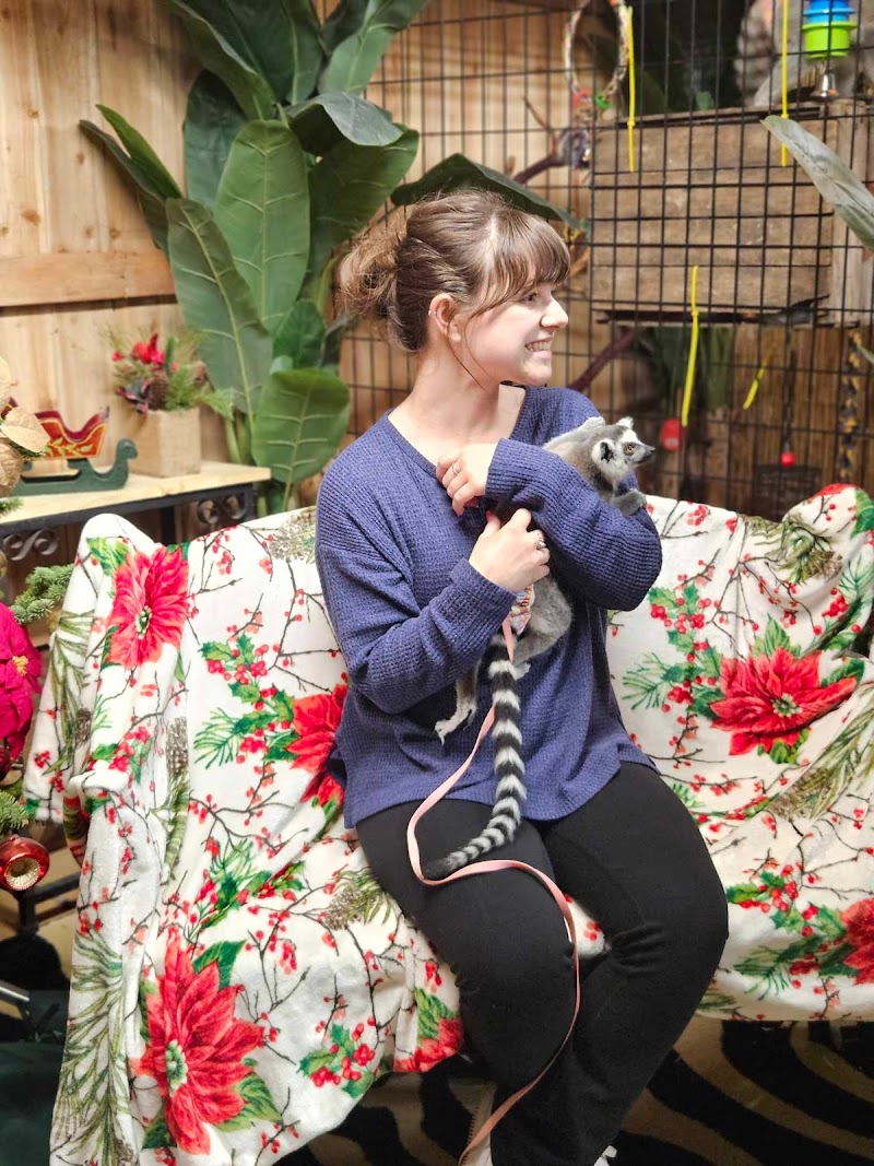 Barnyard Party Pals- Live Animal Shows & Petting Zoos and Pony Rides — Petting Zoos in Indianapolis