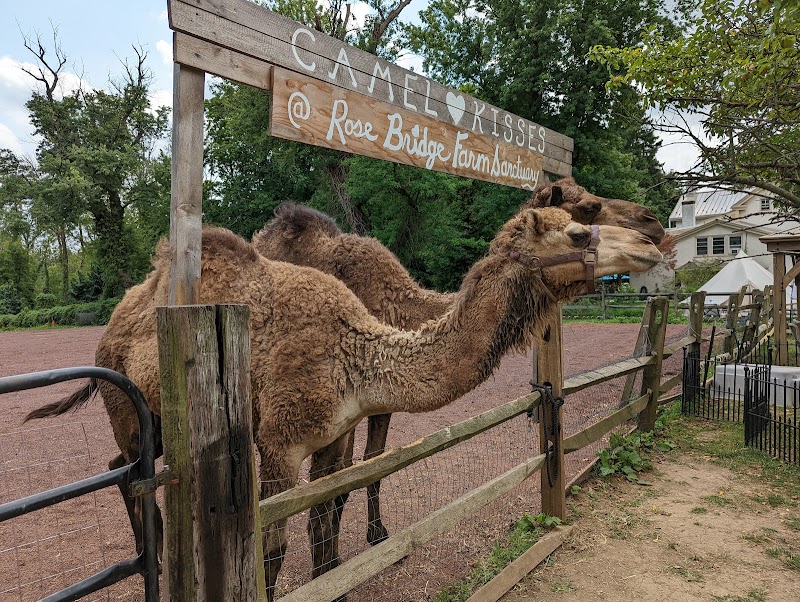 Rose Bridge Farm
