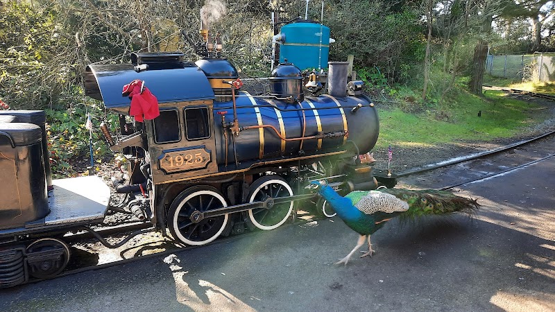 Little Puffer Steam Train Depot