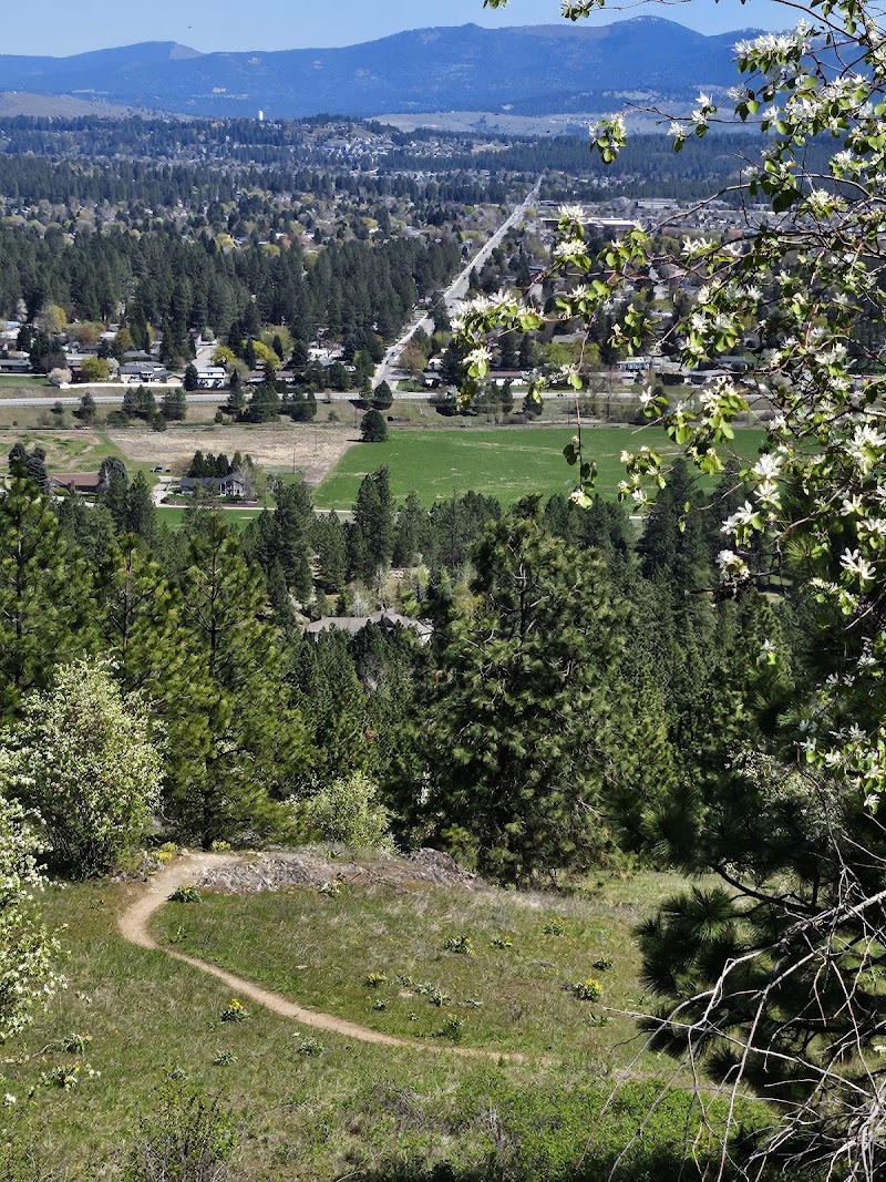 Glenrose Trailhead — Hiking with Kids in Spokane