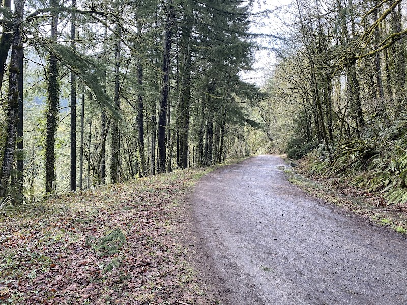 Leif Erikson Trail — Hiking with Kids in Portland