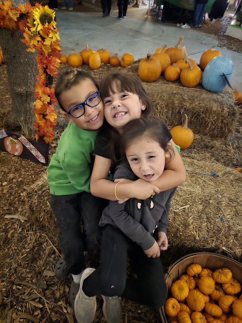 Moreland pumpkin patch — Fall Festivals in Sunnyvale