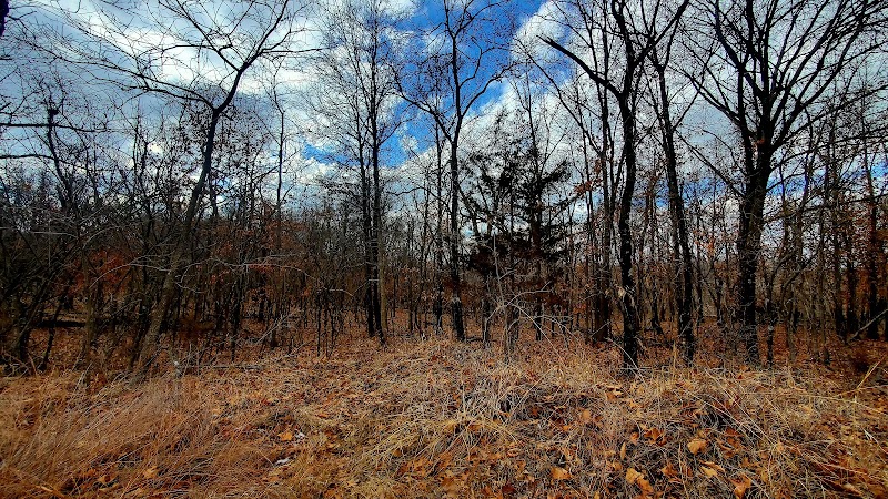 Line Creek Trail — Hiking with Kids in Kansas City