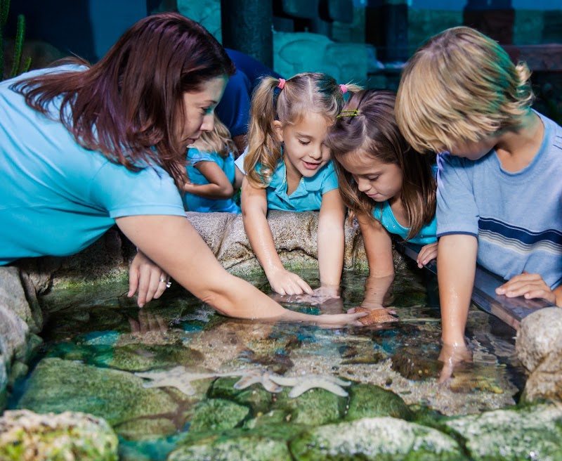 SEA LIFE San Antonio