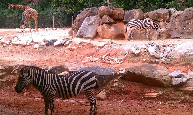 Kids Playground at Zoo Atlanta