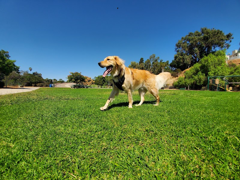 Cedar Ridge Park Canyon — Hiking with Kids in San Diego