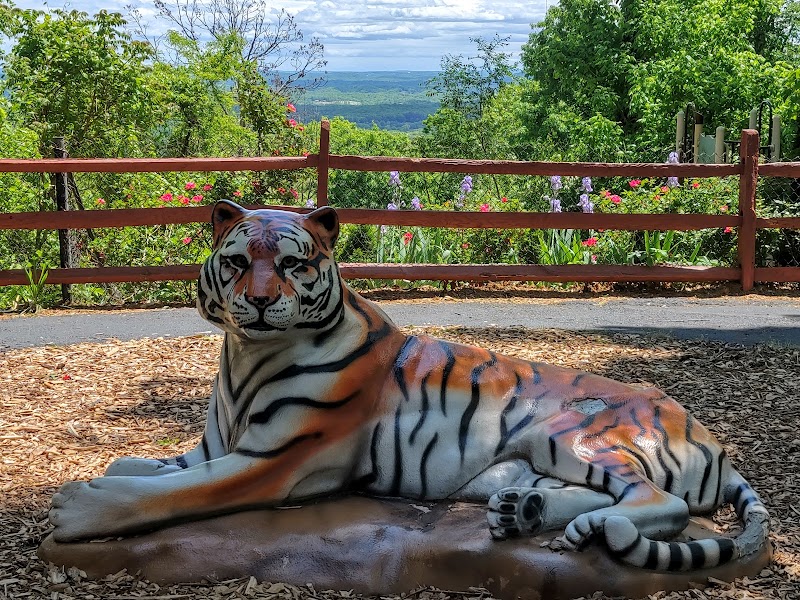 Mill Mountain Zoo