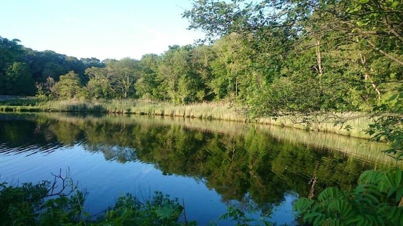 Squantum Woods Park — Hiking with Kids in Providence