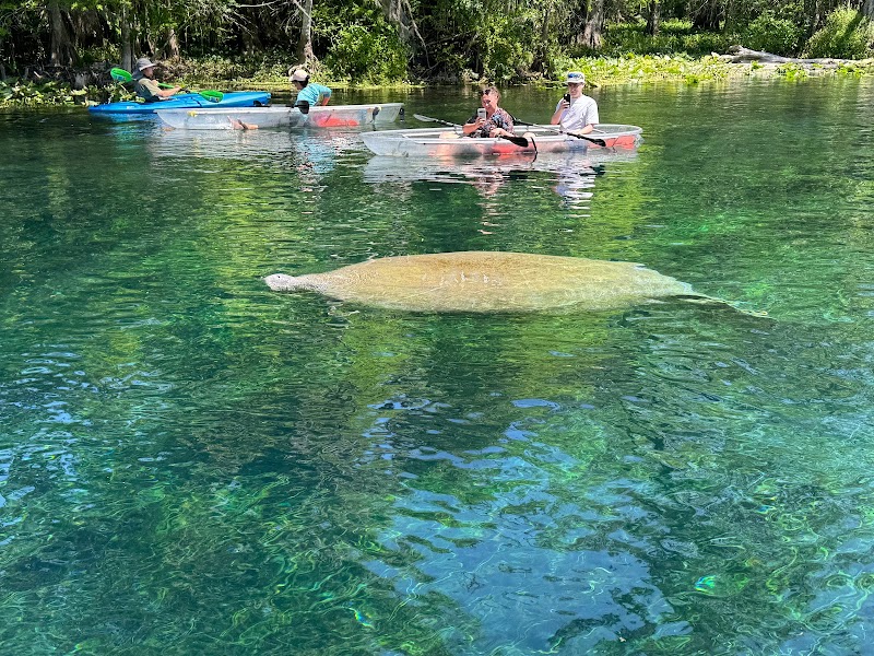 Epic Paddle Adventures