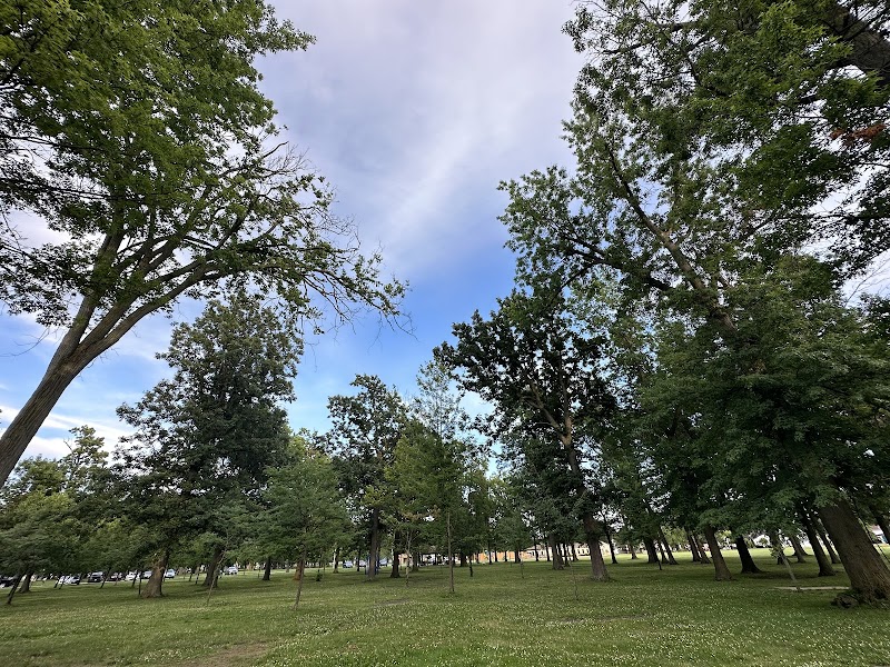 Lincoln Park — Best Outdoor Playgrounds in Buffalo