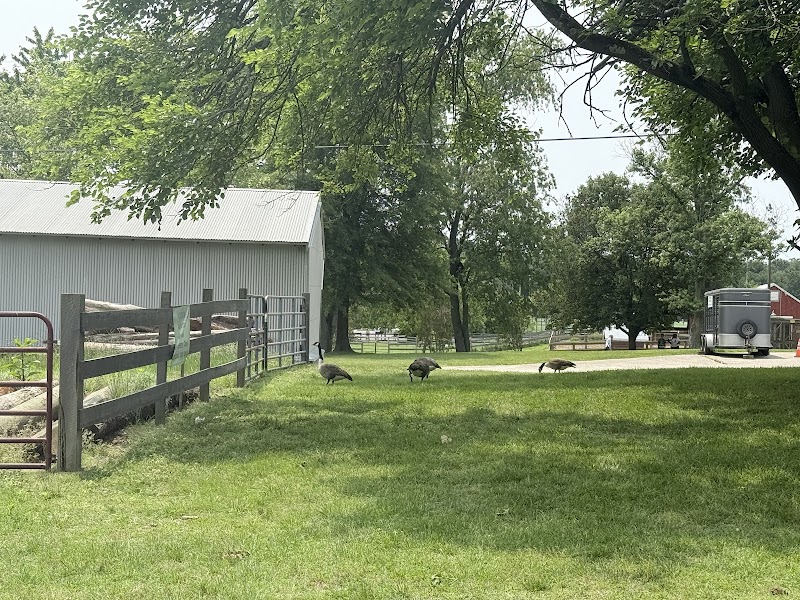 Kinder Farm