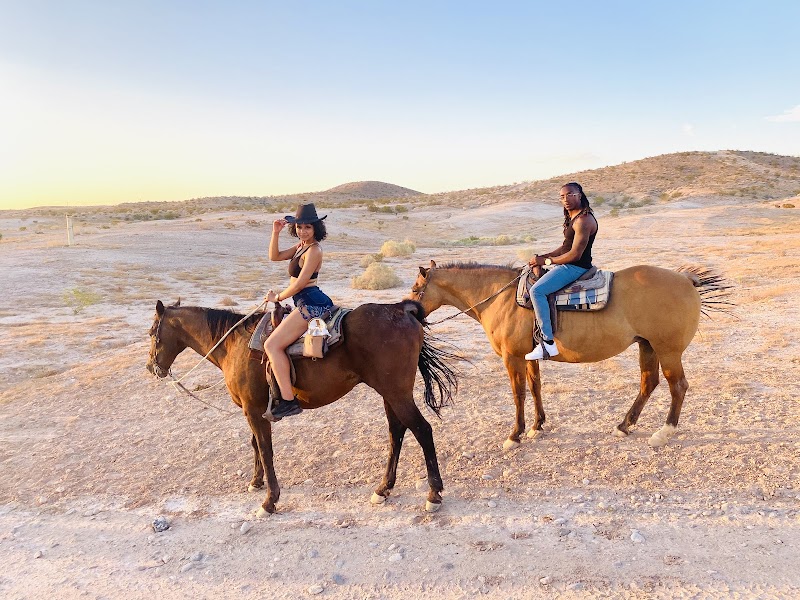 Wild West Horseback Adventures — Petting Zoos in Las Vegas