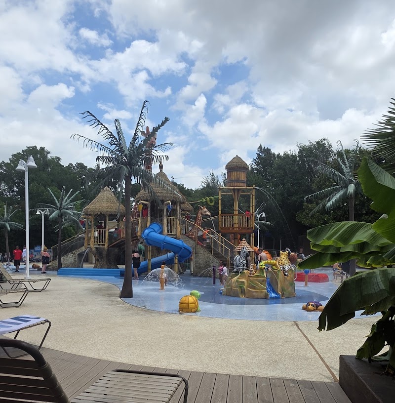 Safari Splash — Indoor Water Parks in Fort Worth