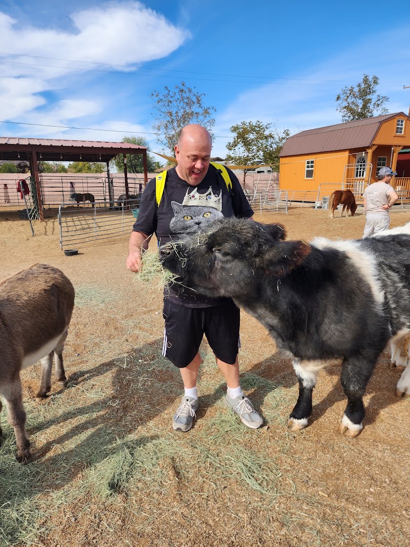 Happy Hooves — Petting Zoos in Phoenix