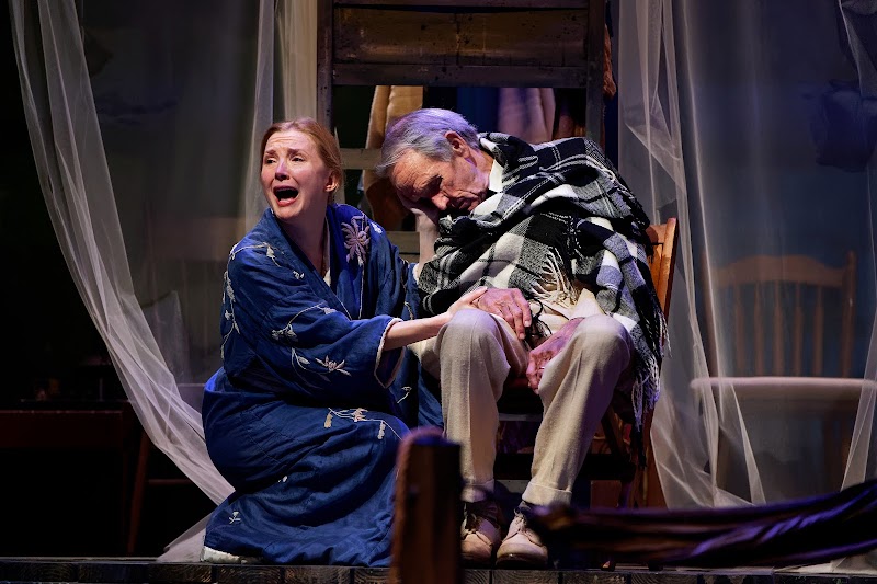 Tennessee Williams Festival St. Louis