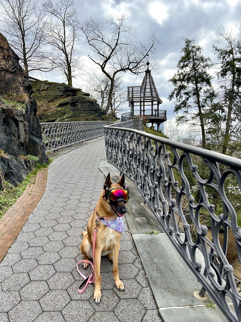 The Treehouse in the Sky — Hiking with Kids in Philadelphia