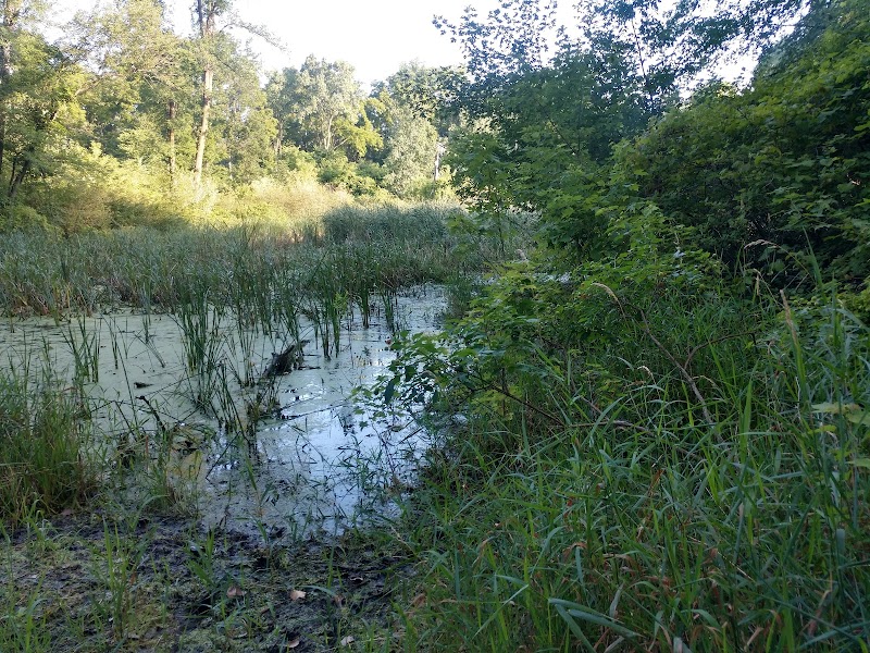 Kettle Pond — Hiking with Kids in Madison