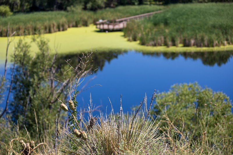 Bluff Lake Nature Center — Hiking with Kids in Denver