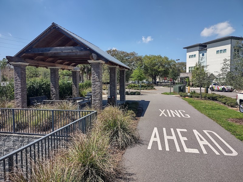 Cady Way Trail Park — Hiking with Kids in Orlando