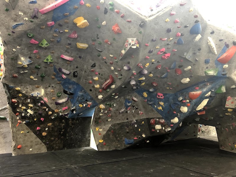 Solid Rock Climbing Gym