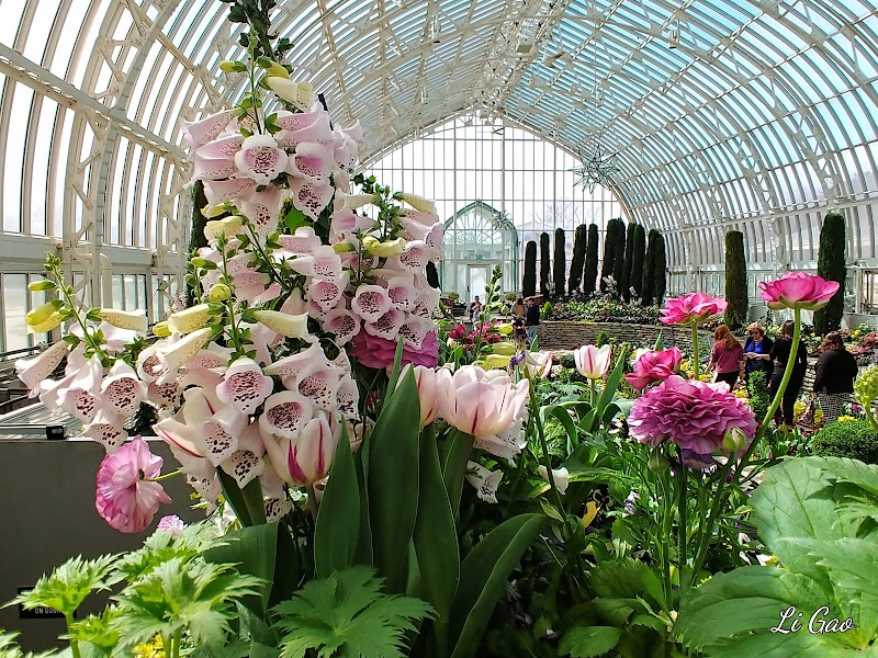 Como Park Grounds