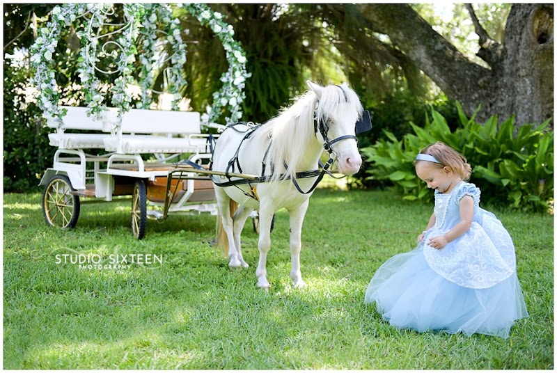 Pinto Carriage Works, LLC