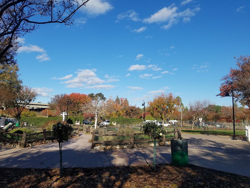 Veggielution Community Farm