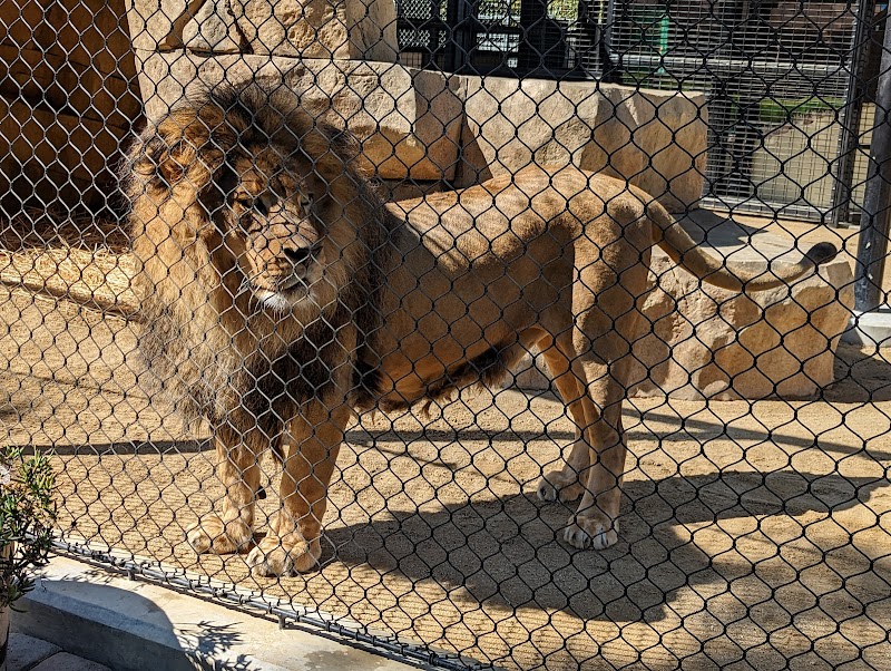 The Teaching Zoo at Moorpark College