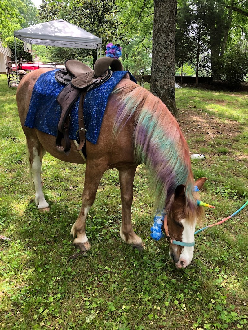 Laughing Place Farm petting zoo and pony rides - MOBILE
