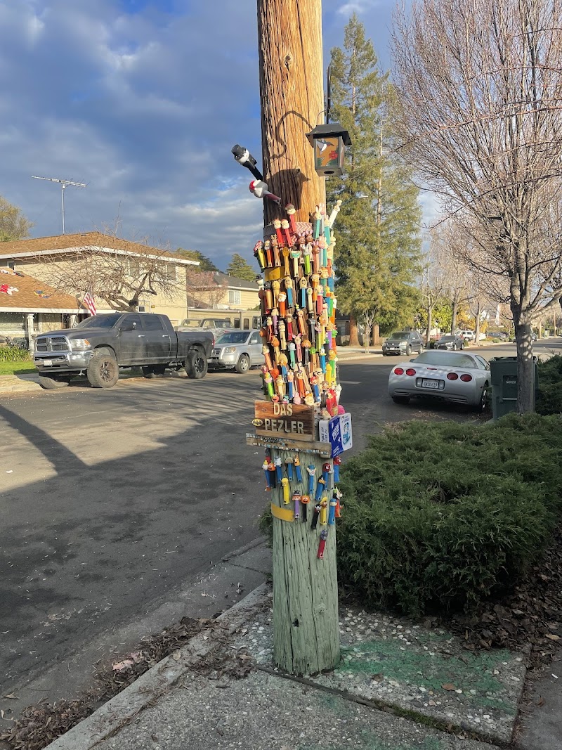 Sunnyvale Pez Pole