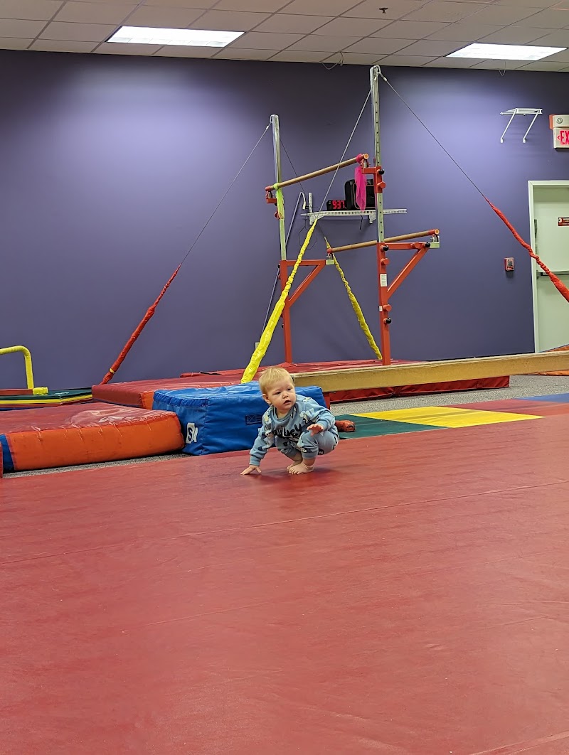 The Little Gym