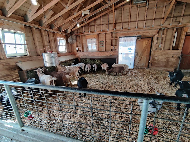 Wells Fargo Family Farm