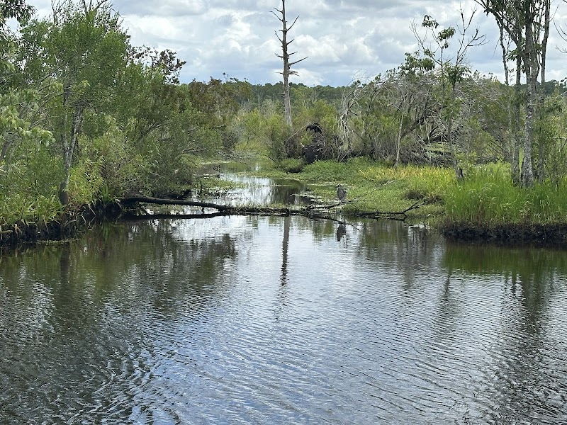 Ortega Stream Valley Trailhead — Hiking with Kids in Jacksonville