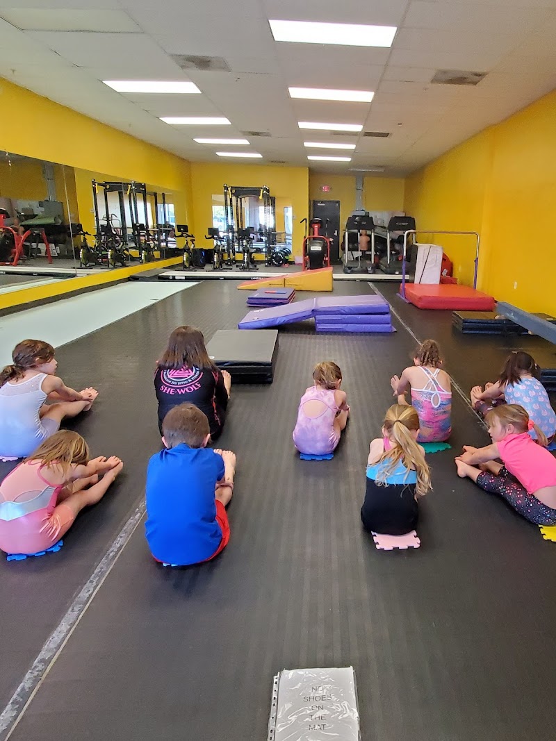 Odin's Gymnastics Academy