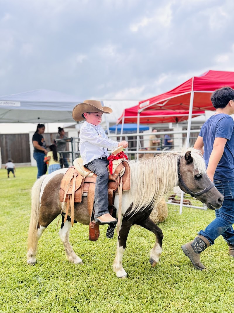 Rumba Petting Farm & Pony Rides