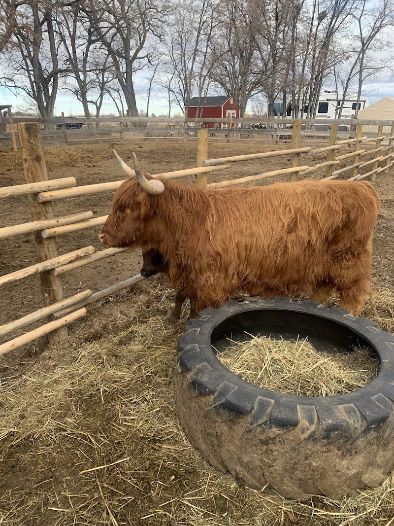 Back Forty Farm & Ranch