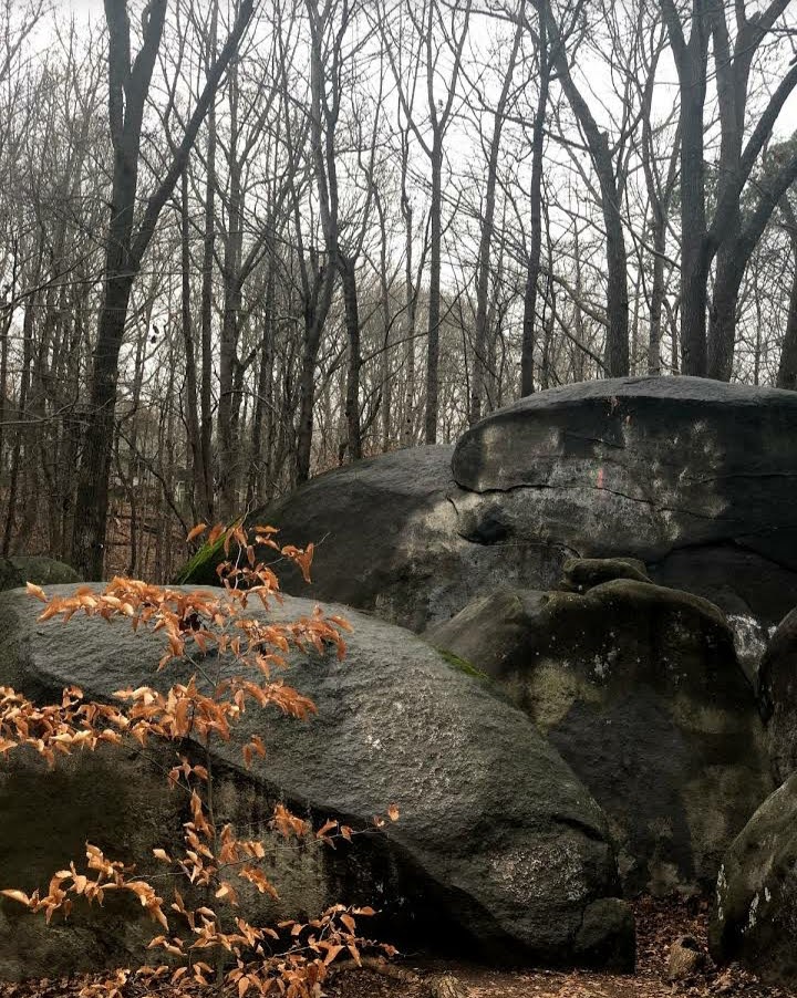 Big Rock Nature Preserve
