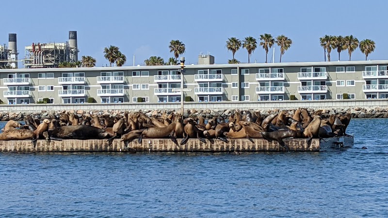 Pedal Port Redondo Beach