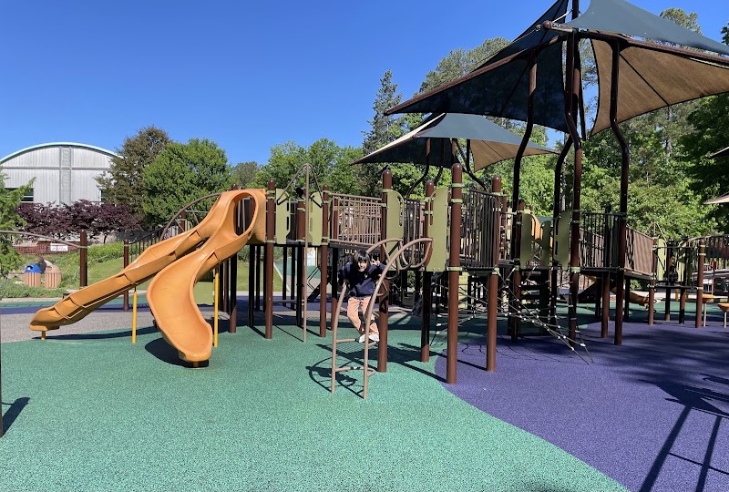 Laurel Hills Park — Winter Break Activities in Raleigh